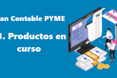 33. Productos en curso